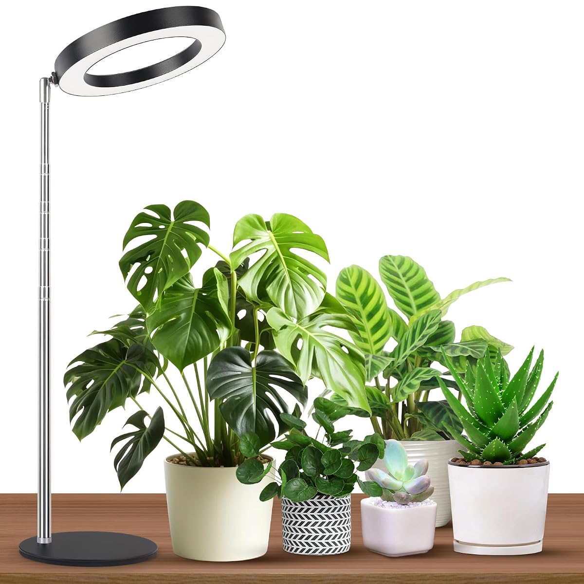 GTRUIIDY Height Adjustable Desktop Grow Light, Full Spectrum, Black, Model