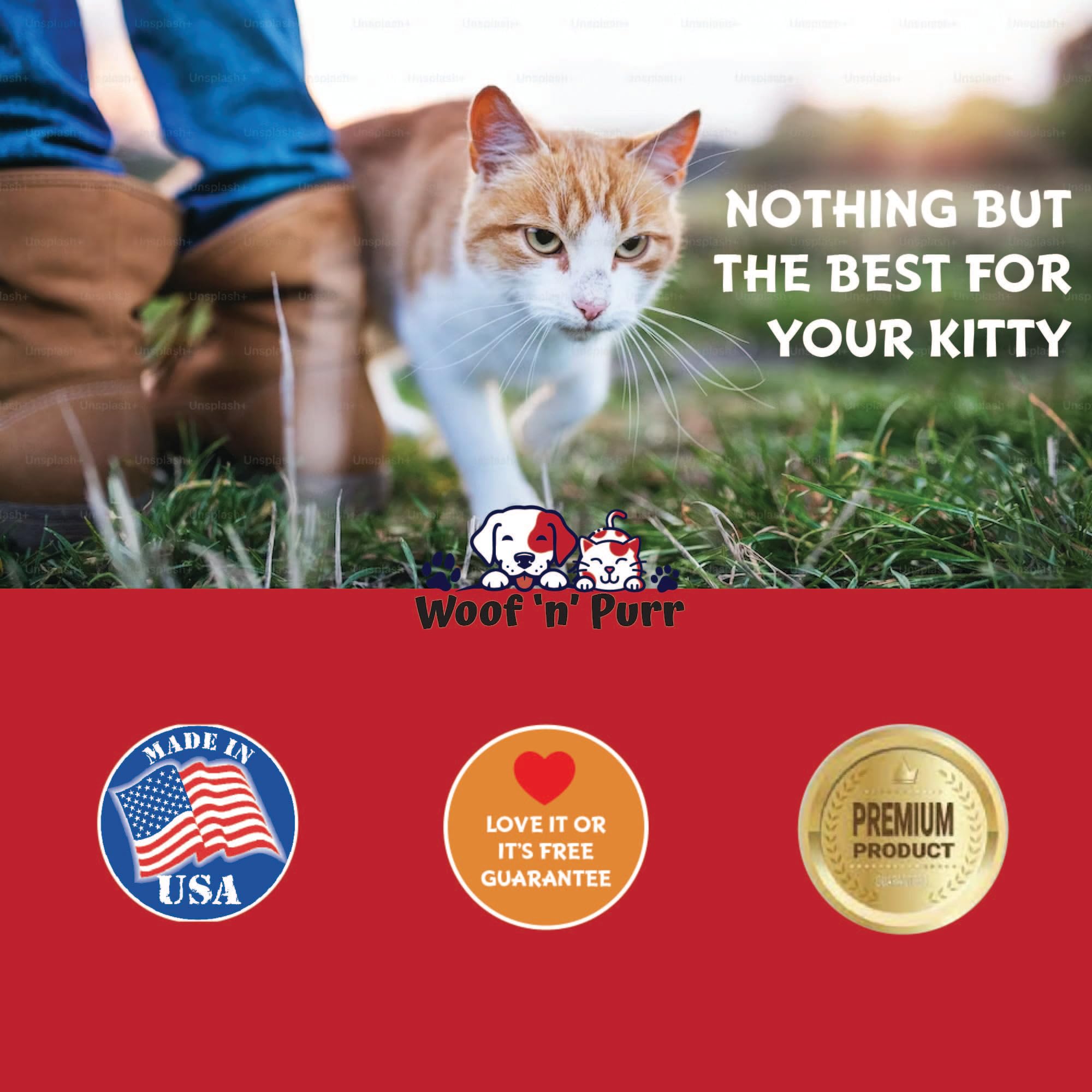 Amazon.com : Vitamin B for Cats - B12 for Cats - Vitamin B12 for Cats - Cat  Vitamins - Cat Vitamins and Supplements - Vitamins for Cats