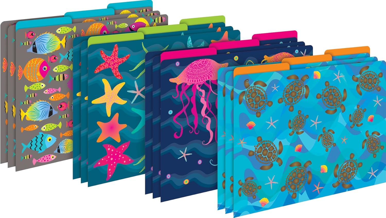 Barker Creek Get Organized Office Kit, Kai Ola Turtles, 12 Coordinating File Folders Printed on 14pt Stock, 50 Sheets of Colorful Computer Paper, and 45 Versatile Self-Adhesive Labels/Name Tags (150)