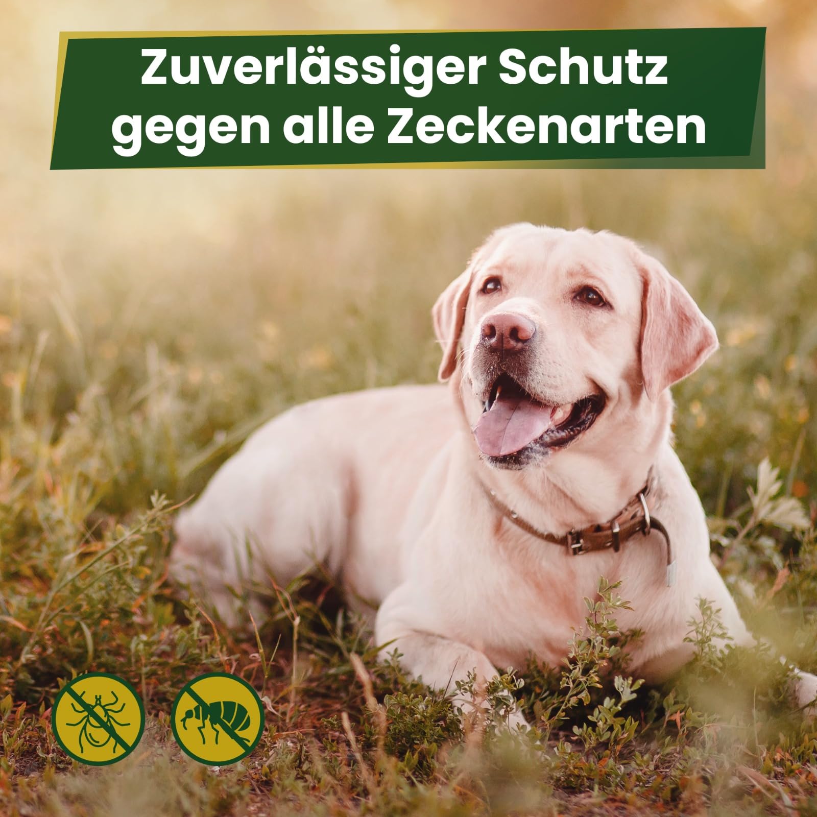 MC-Royal® Kautablette für Hunde gegen Zecken & Flöhe [3 Monate zuverlässiger Schutz] - hochwirksamer Schutz gegen Zecken und Flöhe - für große Hunde 25 bis 55 kg