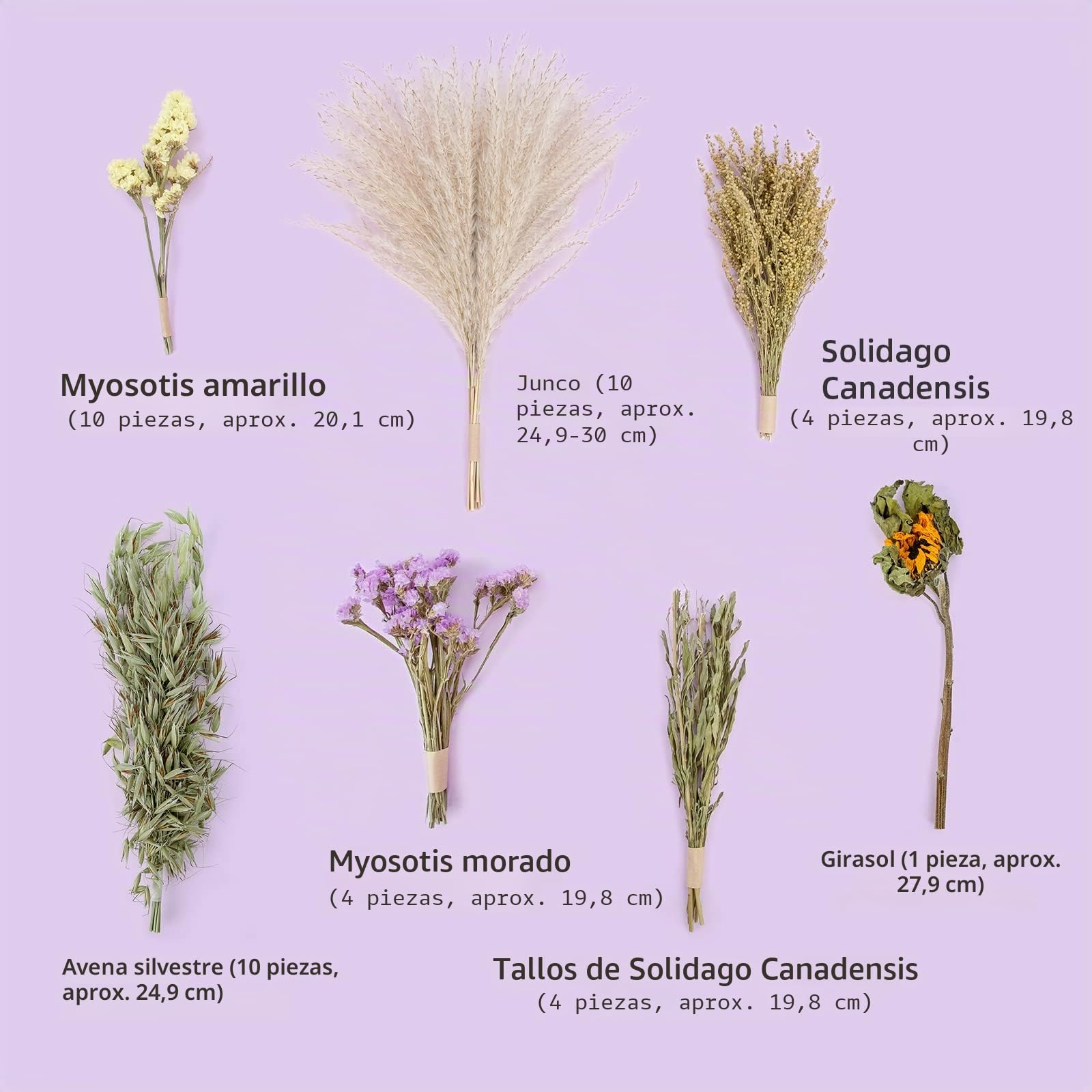 Niteangel Lecho Natural y Suave para Hámster: Decoración del Hábitat para Pequeños Animales como Hámsters Enanos Sirios, Gerbos, Ratones, Degús, Conejos u Otros Animales (Versión de Flores)
