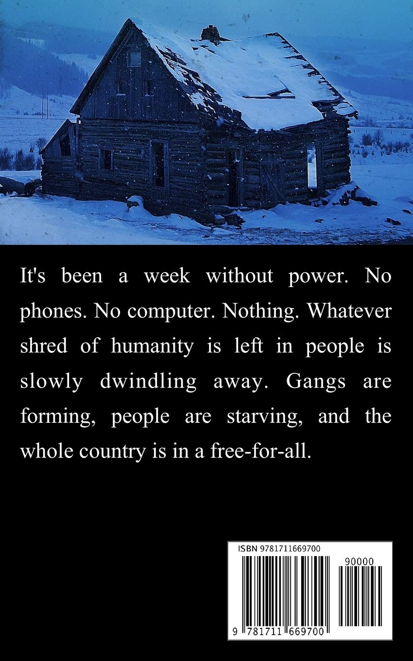 Broken Lines (EMP Survival in a Powerless World) - Image 2