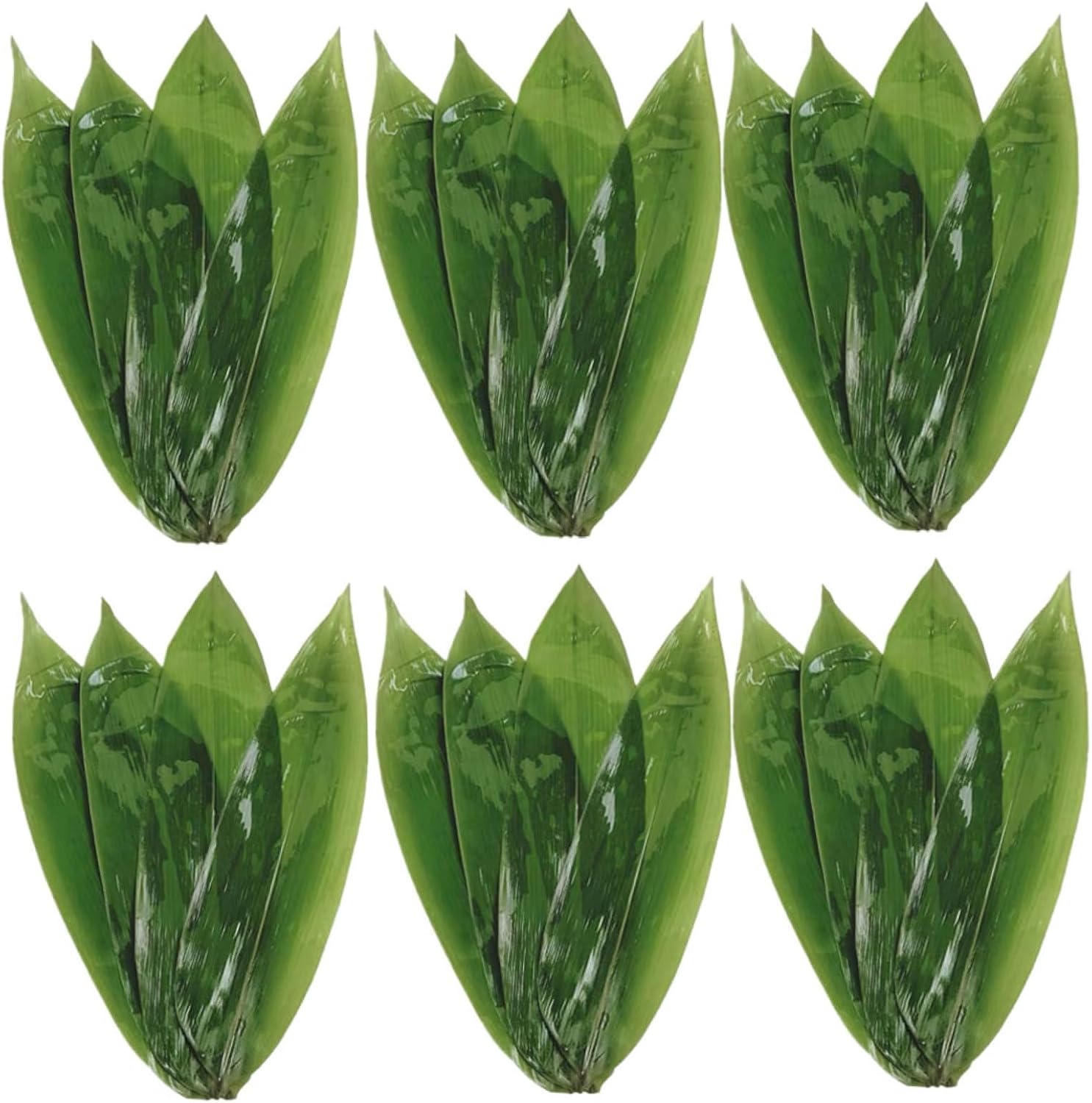 Luxshiny 50Pcs Fresh Leaves for Sushi Decoration Natural Shape Decor for Sashimi Dishes for Japanese Cuisine Party Favors and Craft Ornaments