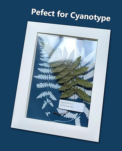 Vista 25 de 48 piezas de flores secas prensadas naturales para decoración de pasteles, flores secas reales para la fabricación de joyas de resina, manualidades