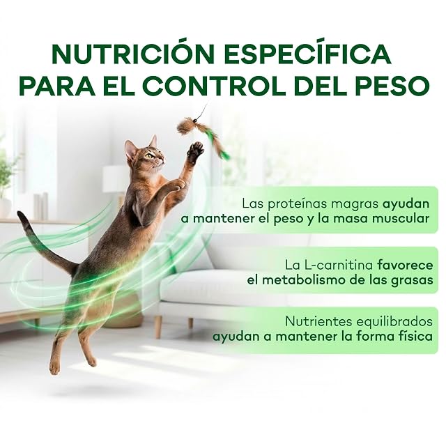 Foto 2 de 8 de Nature's Protection Superior Care Húmedo Gato, Arenque y Pollo 12 x 85 g