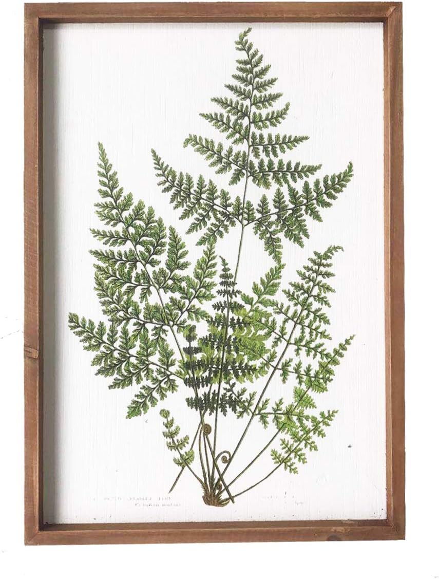 NIKKY HOME Botanical Plant Prints Framed - 20" x 14" Fern Pictures Art Wall Decor - Vintage Look with Real Wood Frames