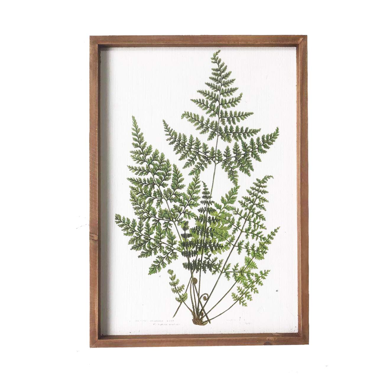 NIKKY HOME 20" x 14" Vintage Framed Green Fern Botanical Wall Art