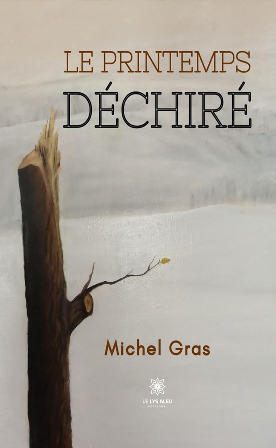 Le printemps déchiré (French Edition)