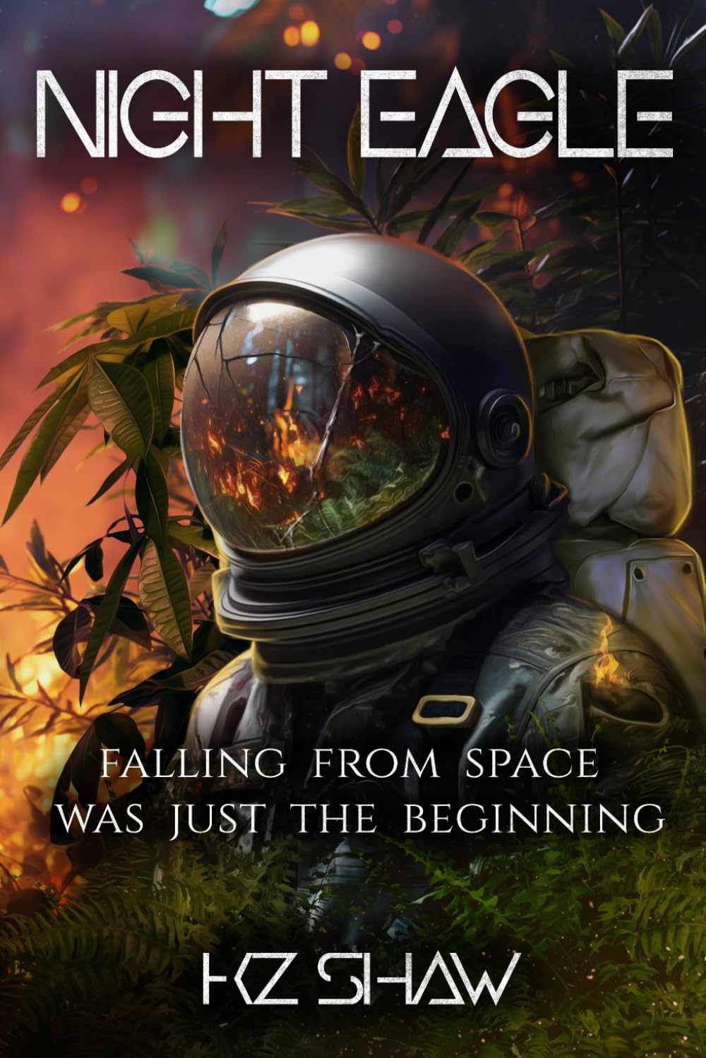 Night Eagle: Falling from space was just the beginning