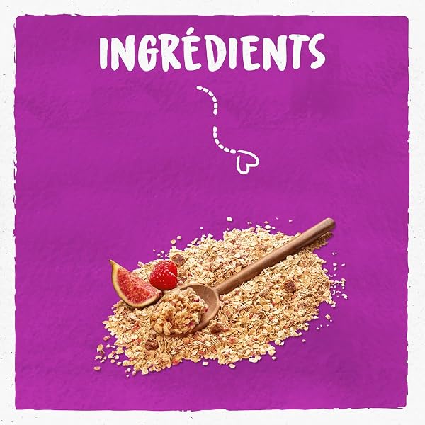 BJORG - Porridge Bio Figue Framboise - Aux Céréales Complètes - Sans Sucres Ajoutés - Pour Le Petit Déjeuner - 375 g - 3