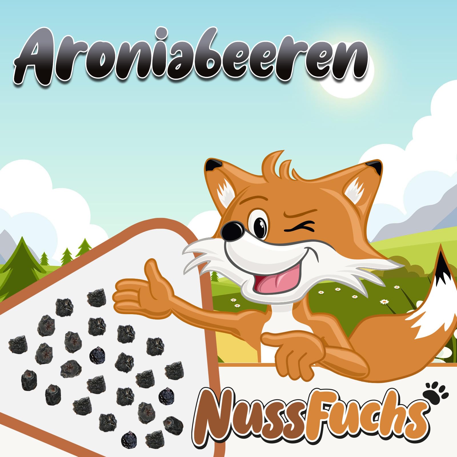 Aroniabeeren getrocknet 2,5kg im Eimer unbehandelt ungeschwefelt NussFuchs