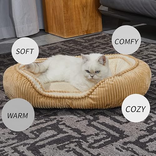 Jiupety Oval Bed For Cats And Pocket Puppy | Small Size L24”X W16”| Out Of The Box | Integrated Design | Cozy And Comfy | 100% Full Of Pp Cotton #TOP3