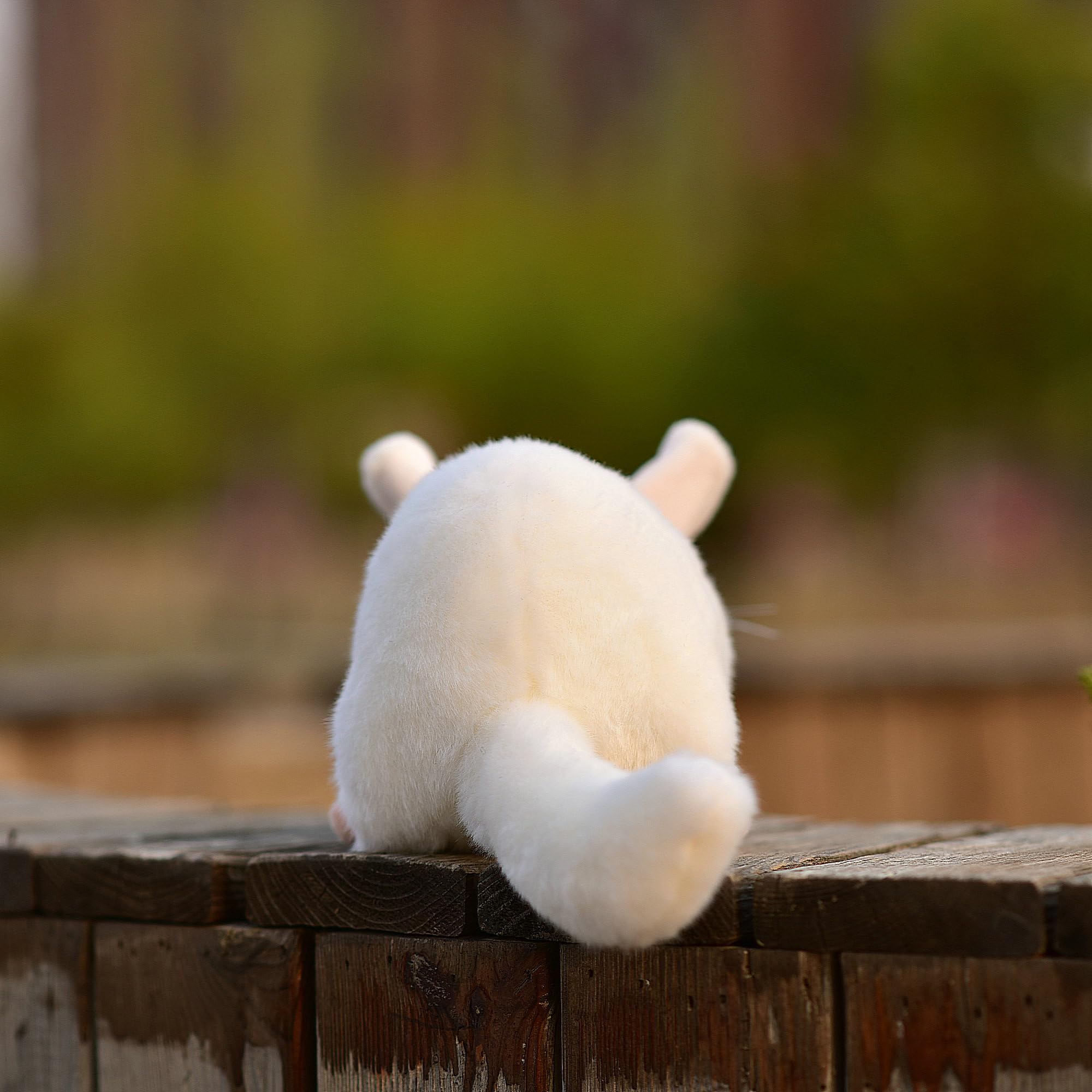 Amazon.co.jp: LIUHONGFEI 模造ネズミぬいぐるみ リアルな動物の