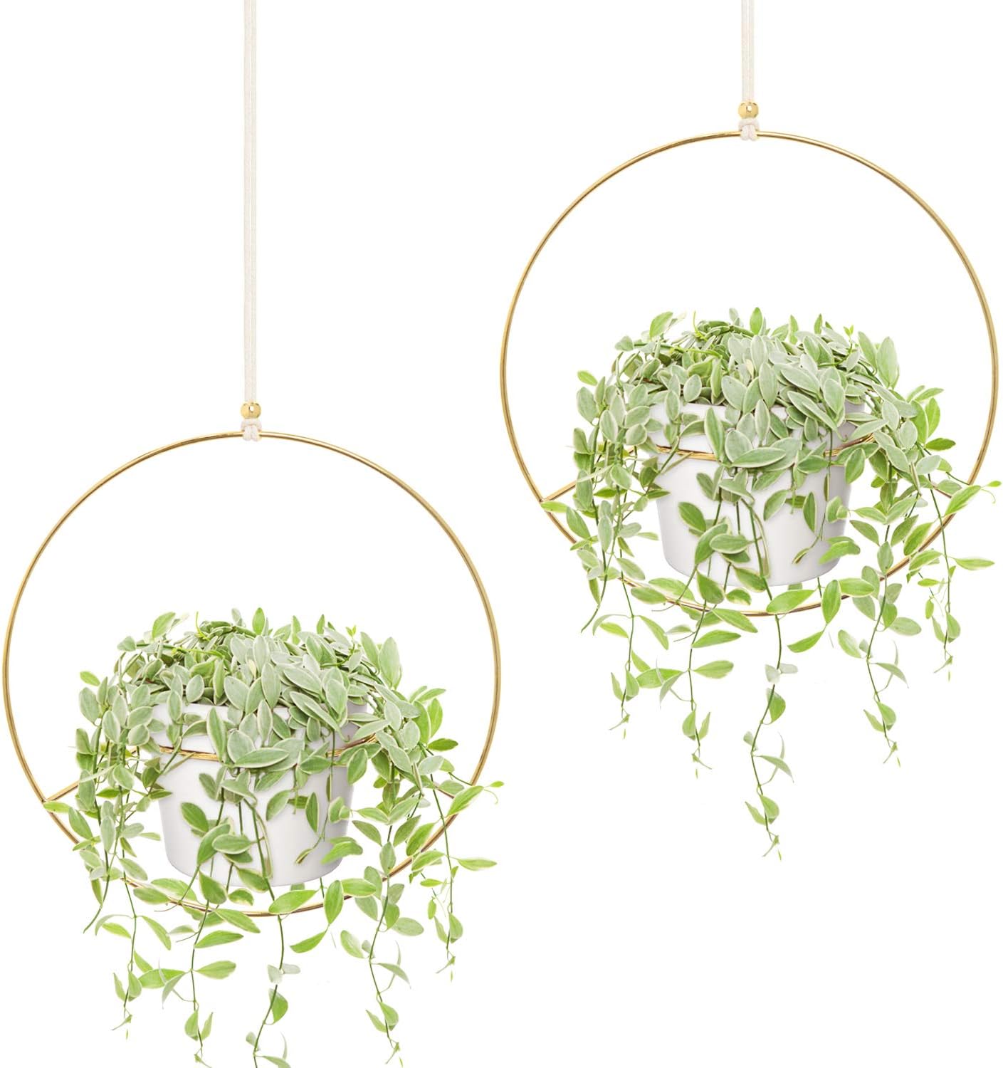Mkono Boho Hanging Planter, Set of 2 Round Metal Plant Hanger with Plastic Plant Pot, Modern Wall and Ceiling Planter Mid Century Flower Pot Holder, Fits 6 Inch Planter (Plastic Pots Included), Gold: Garden & Outdoor