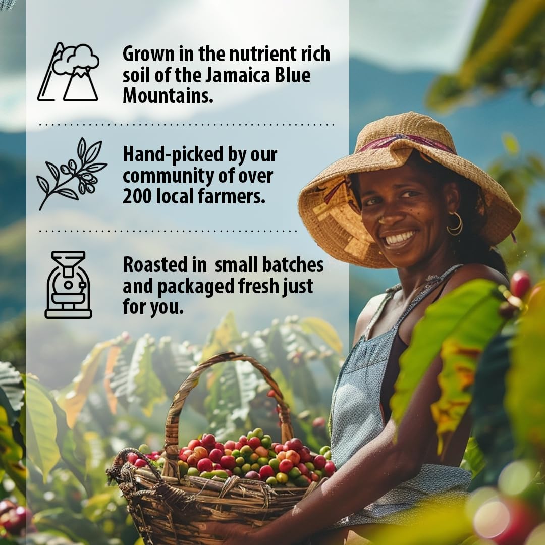 Jahva 100% Jamaican Coffee Medium Roasted and Ground from Jamaica (16oz.)