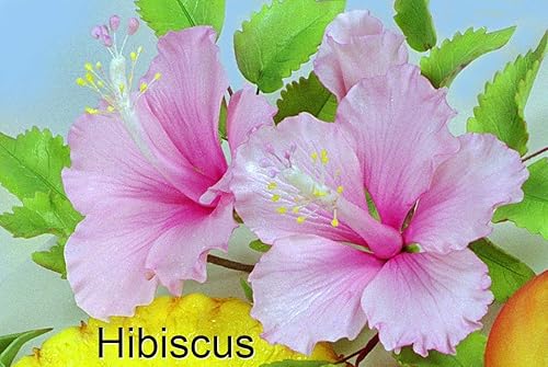 Miniatura 3 de Juego de cortador de pétalos de hibisco, cáliz y hojas de WSA