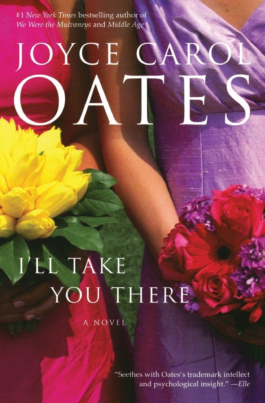 I'll Take You There: A Dramatic Novel of Obsessive Love, Intellectual Risk, and the Past
