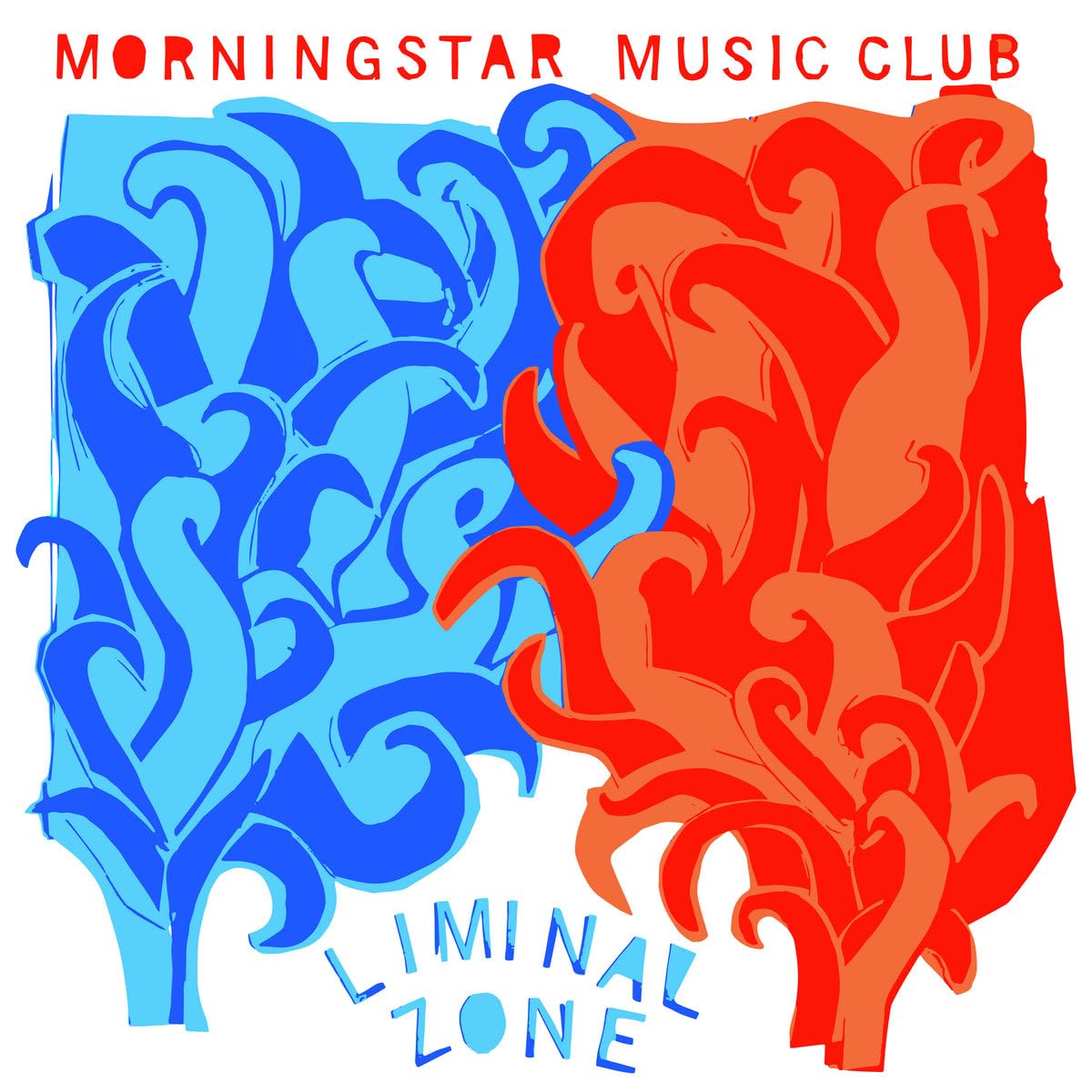 Liminal Zone [VINYL]