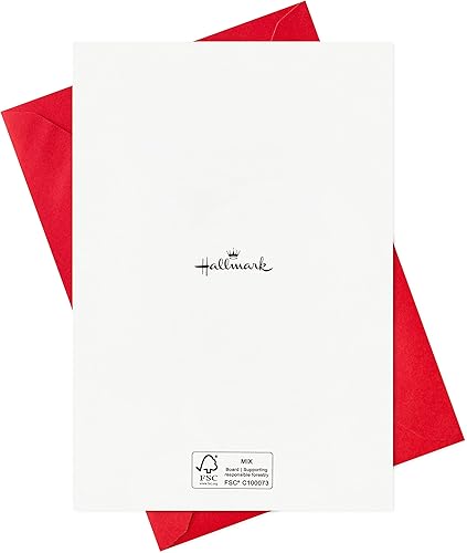 Miniatura 9 de Hallmark - Surtido de tarjetas de Navidad religiosas en caja, Star of Wonder (36 tarjetas y sobres) rosa, azul, amarillo, verde, naranja