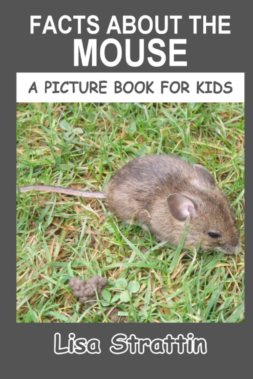 Facts About the Mouse (A Picture Book For Kids)