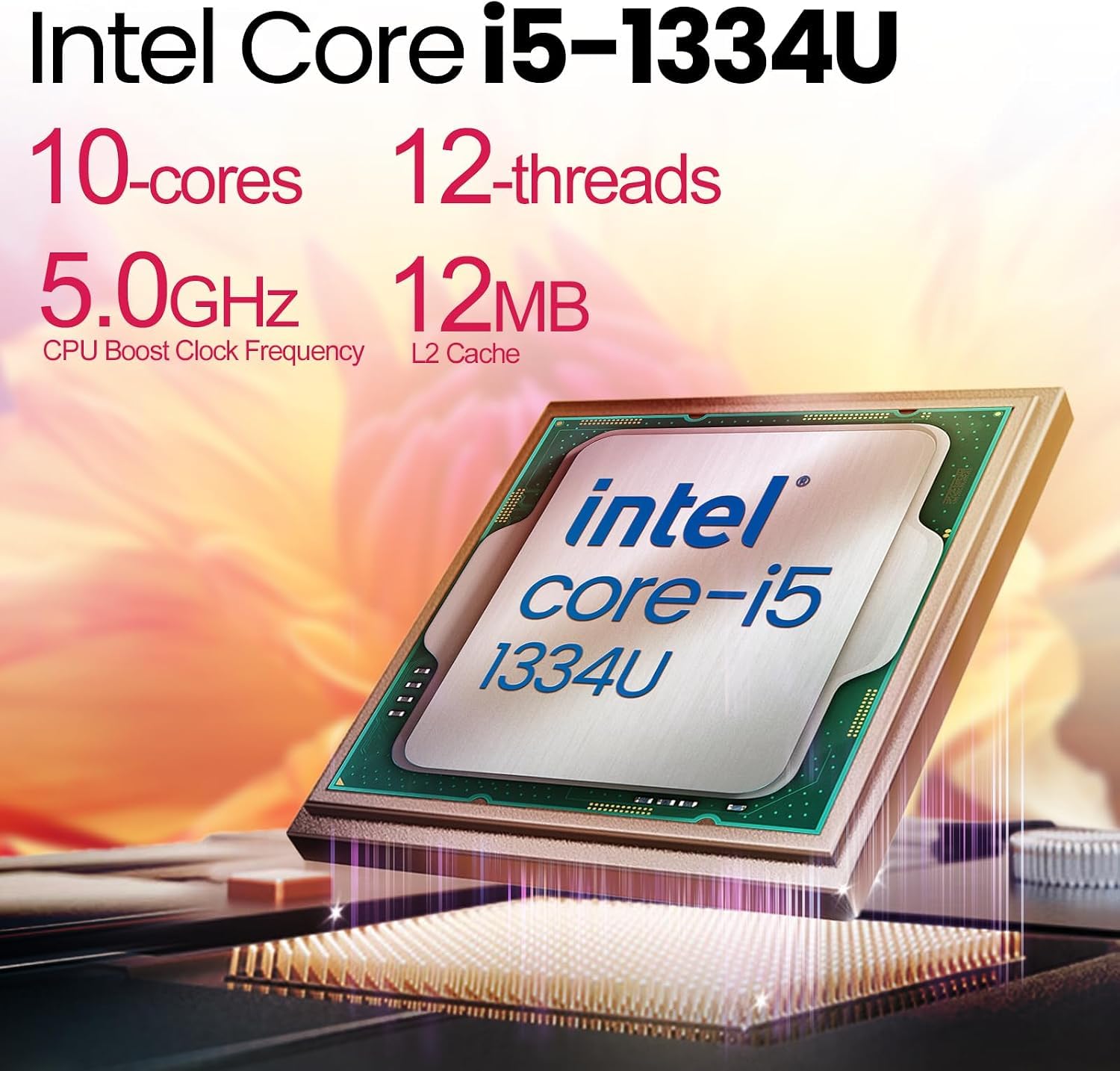 Amazon.com: Dell 15.6