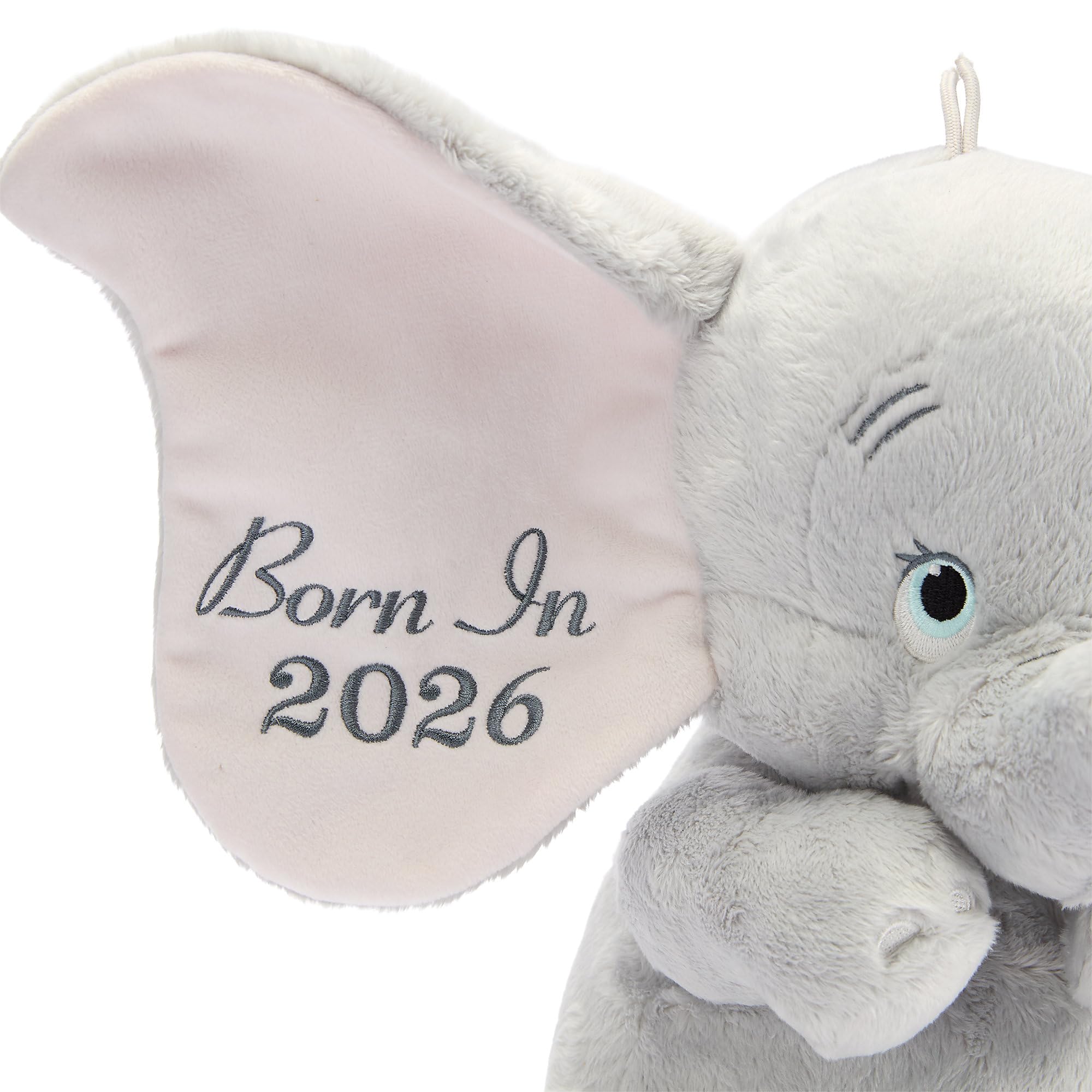 Amazon.com: Disney Store Official My First Dumbo 2026 Plush