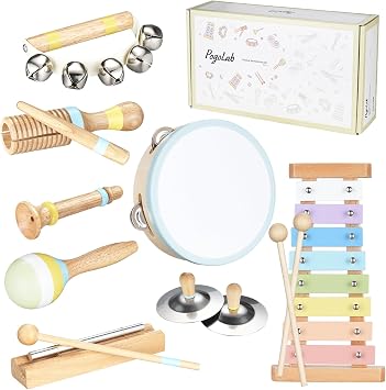 Musical Instruments for Toddlers,POGOLAB Montessori Toys,Educational Wooden Percussion Toys,Gifts for 3 Years Old Boys and Girls, Xylophone,Cymbal,Tambourine,Maraca,Hand Bells,Chime bar