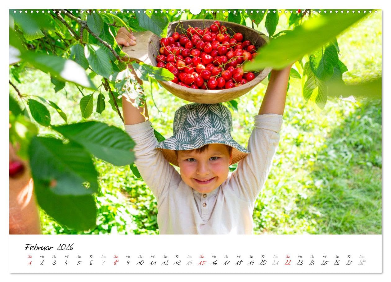 Kirschen aus dem Garten – Erntekalender (hochwertiger Premium Wandkalender 2026 DIN A2 quer), Kunstdruck in Hochglanz: Dieser liebevoll gestaltete ... im Garten lieben. (CALVENDO Natur)