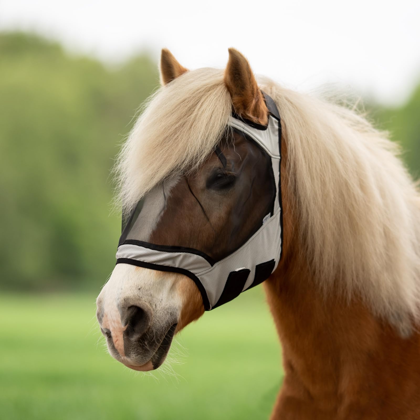 BUSSE Maschera da mosche FLY GUARD FREE