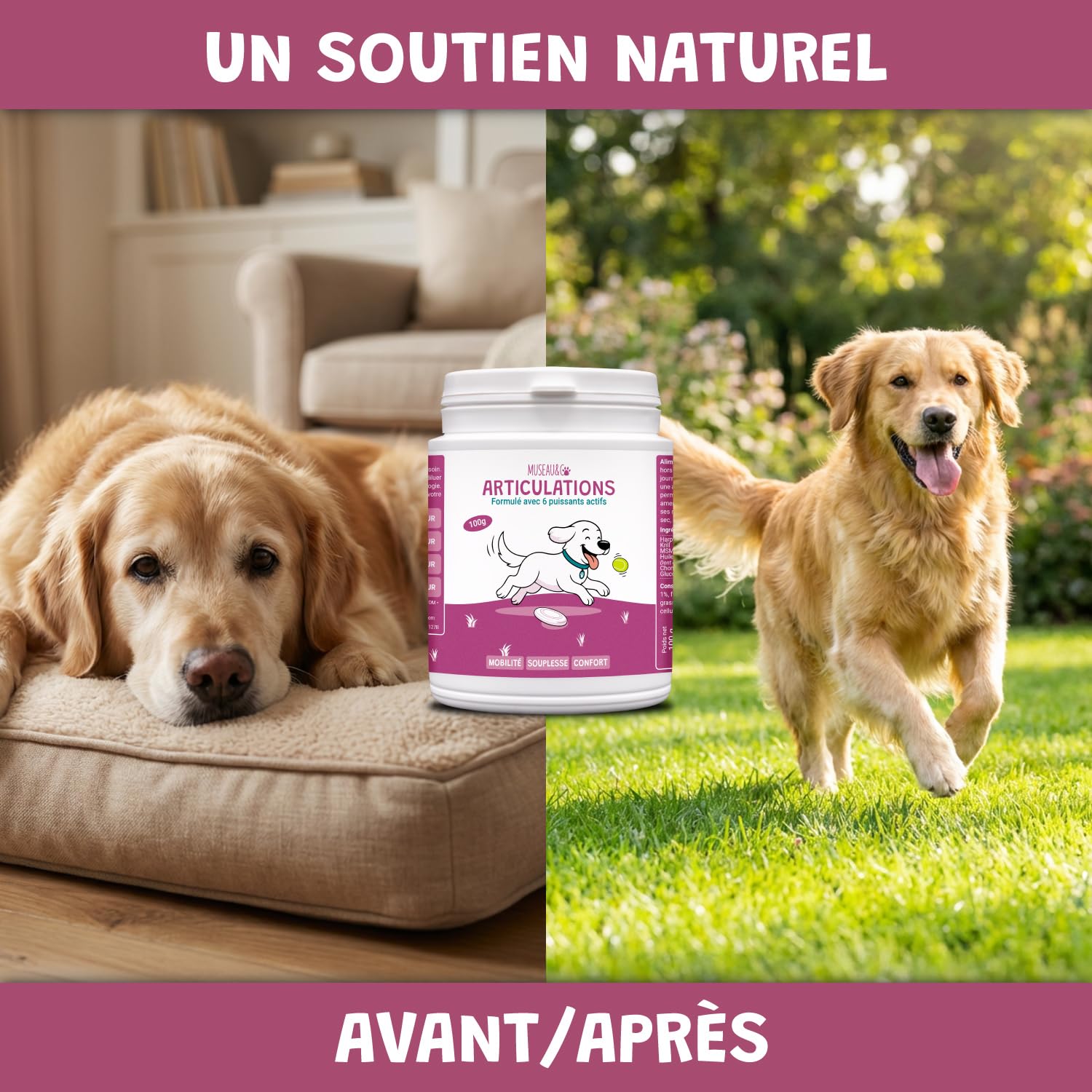 Articulations Chien Chat - Complément Alimentaire Anti-Arthrose - Harpagophytum Glucosamine Chondroïtine MSM Krill - Mobilité & Souplesse - Formulé par des Vétérinaires - Fabriqué en France