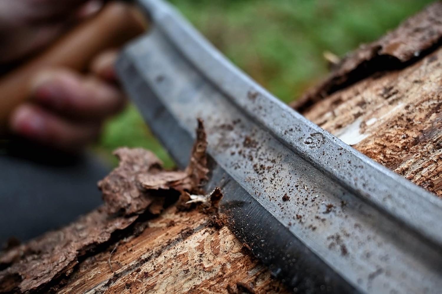 Kirschen Pulling Knife with Red Beech Handle (Straight Blade, Length 170 mm, Blade Thickness 4-4.5 mm at Chamfer Attachment)