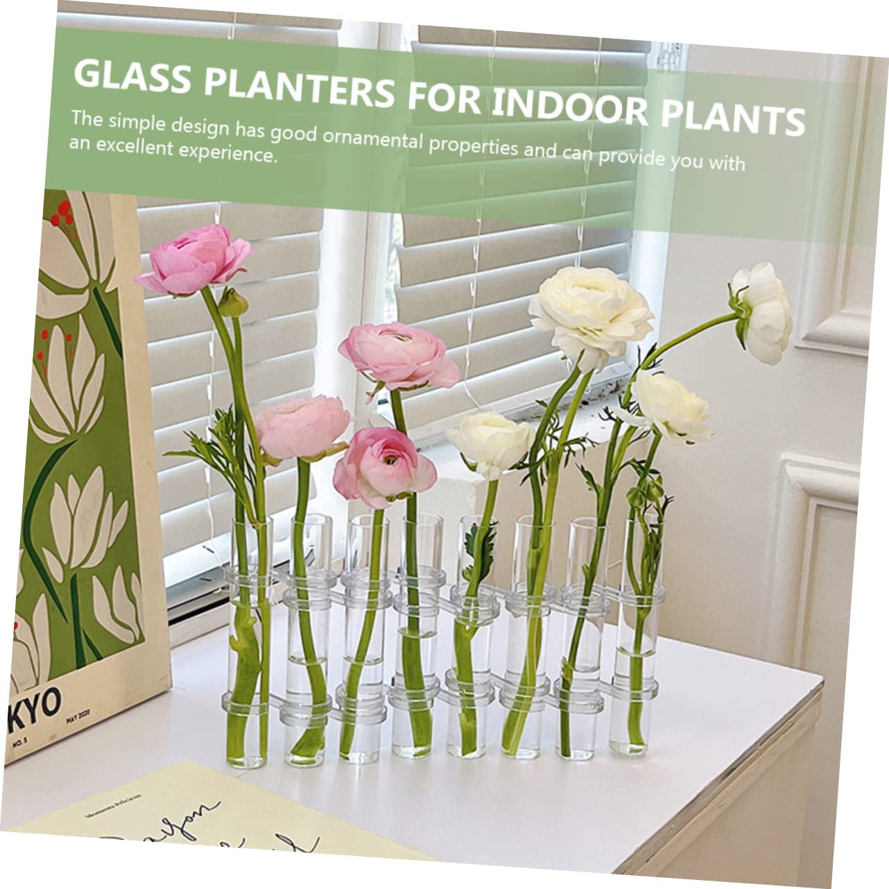 Vase en Verre Transparent 1 Set pour Tubes de Propagation de Plantes