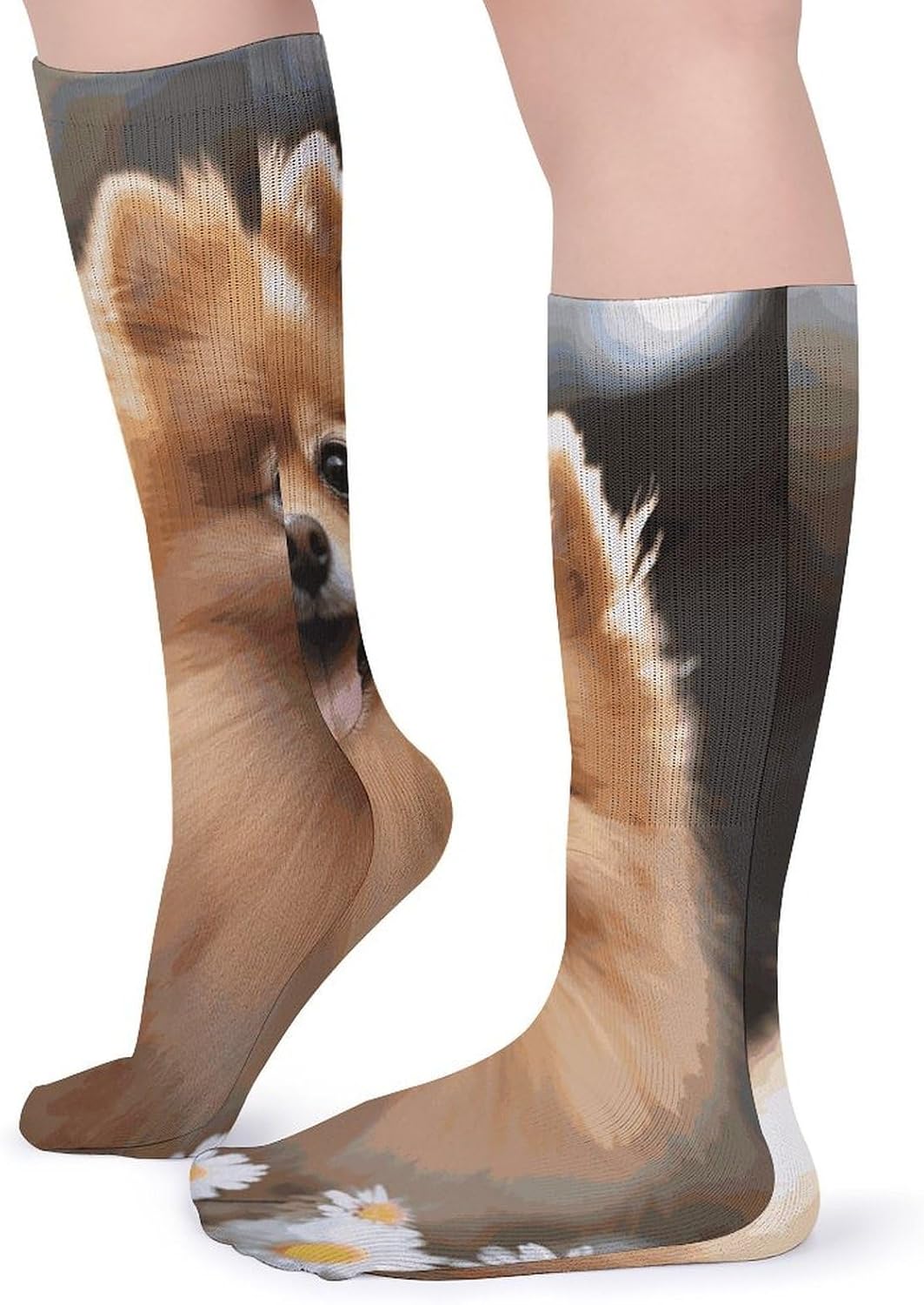 Pomeranian Dog Knee High Socks Cozy Knee High Socks Soft Mid-Length Sock for All Seasons Daily Wear Adult