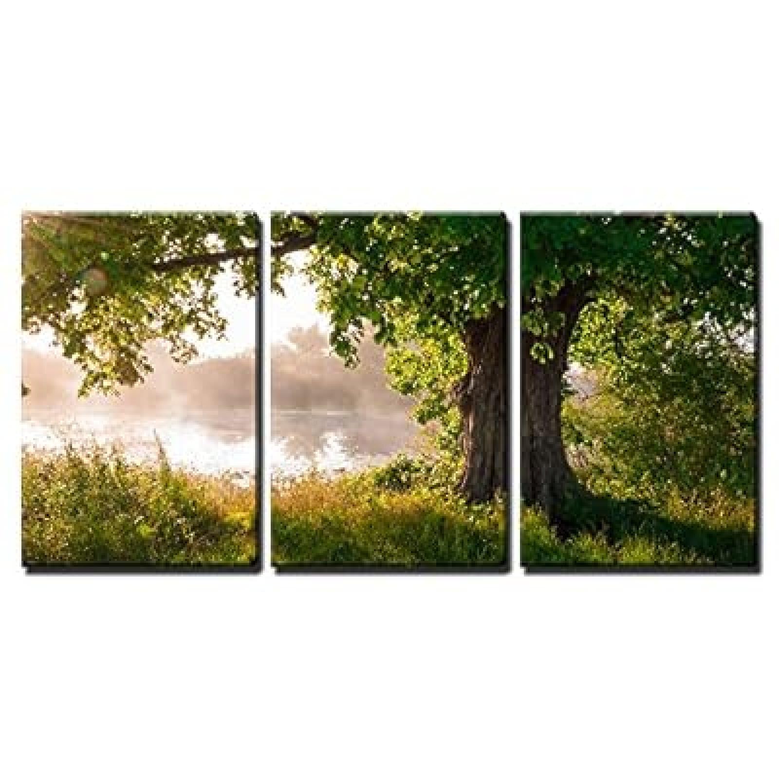 PYBILDCYJ Modernes 3-teiliges Leinwand Wandbild Allein stehender Eichenbaum mit voll ausgebildeten Blättern im Sommer Poster Home Decor Möbel Art Dekoration, HD Druck mit Holzrahmen 40cmx60cmx3