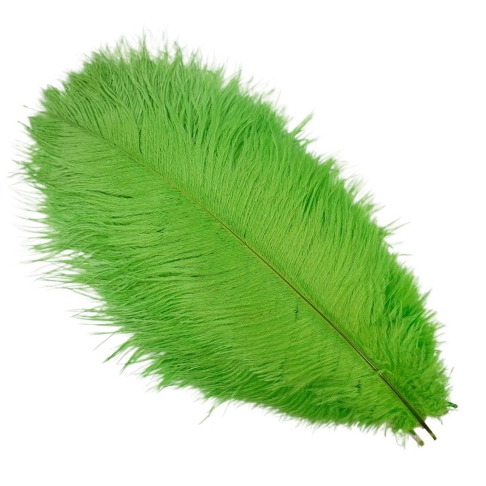 Ostrich Feathers 10Pcs Colorful Ostrich Feather Handicraft Accessories Dream Catcher Decoration Jewelry Creation Natural Plume Table Centerpieces(Green1,25-30cm 10-12inch)