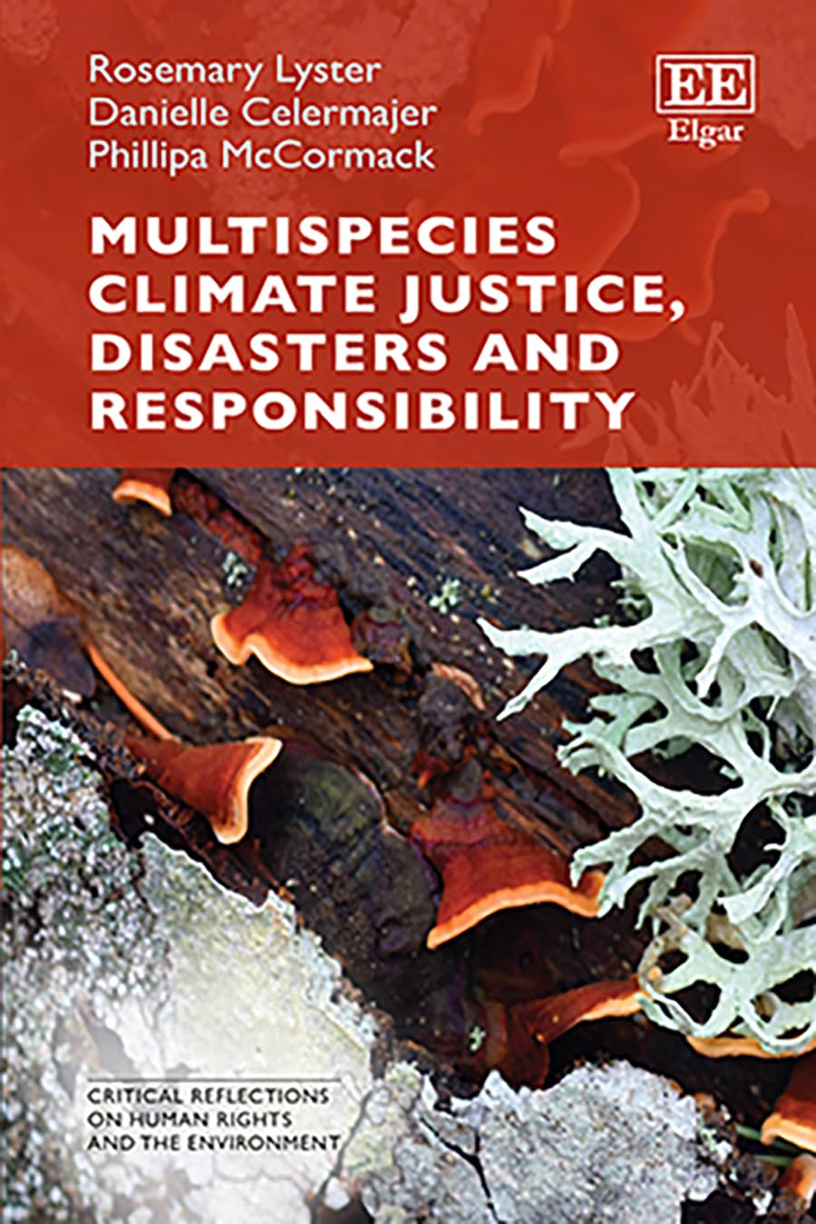Multispecies Climate Justice, Disasters and Responsibility (Critical Reflections on Human Rights and the Environment series)