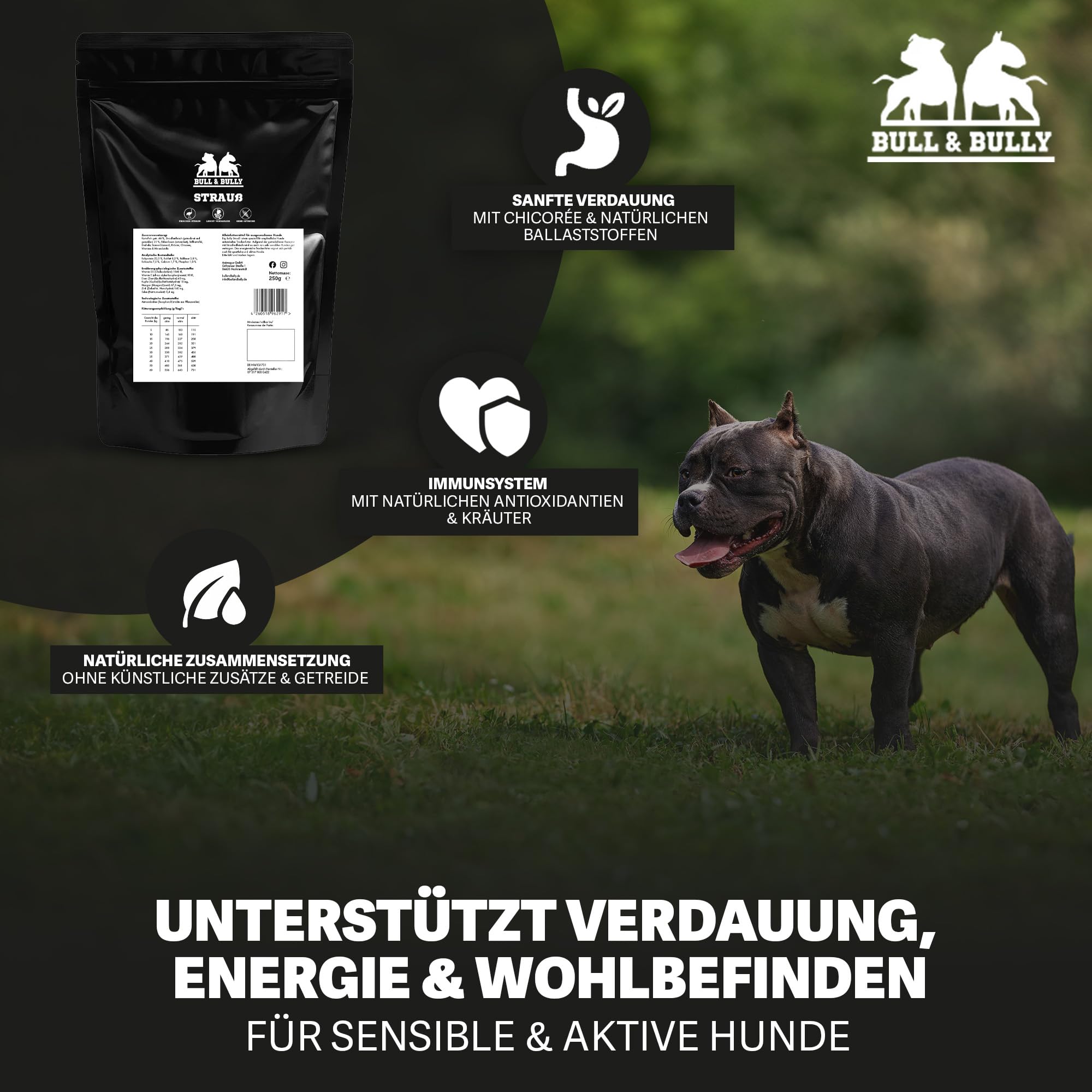 Hundefutter Big Bully Strauß Hundefutter Trocken – Energiereiches Trockenfutter für Hunde tierärztlich entwickelt – Hundetrockenfutter Premium Dog Food – Monoprotein Hundeleckerli 250g BULL & BULLY