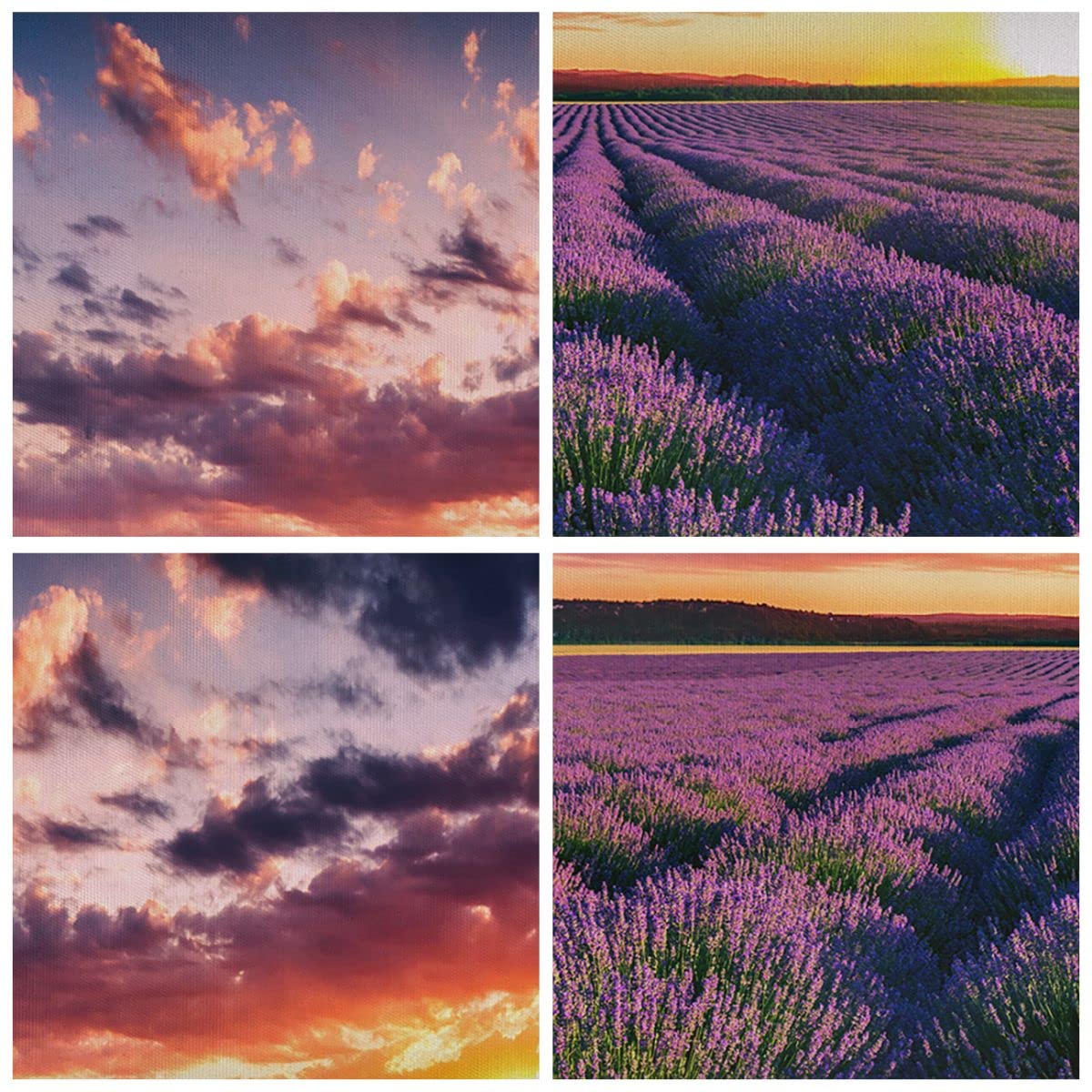 Cuadro Decorativo 160x50cm Moderno Panorámico Botánica Paisajes - 3816 | Lavanda montañas Campo Cuadro sobre Lienzo Grande Arte mural Decoración del Hogar Salón Dormitorio Oficina Cuadros de Pared