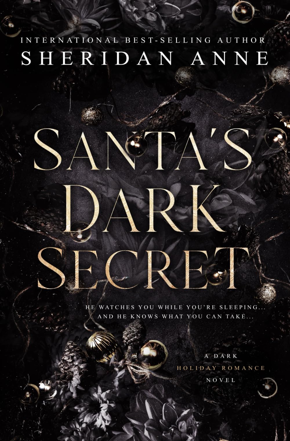 Santa's Dark Secret: A Dark Holiday Romance : Anne, Sheridan:  Amazon.com.au: Books