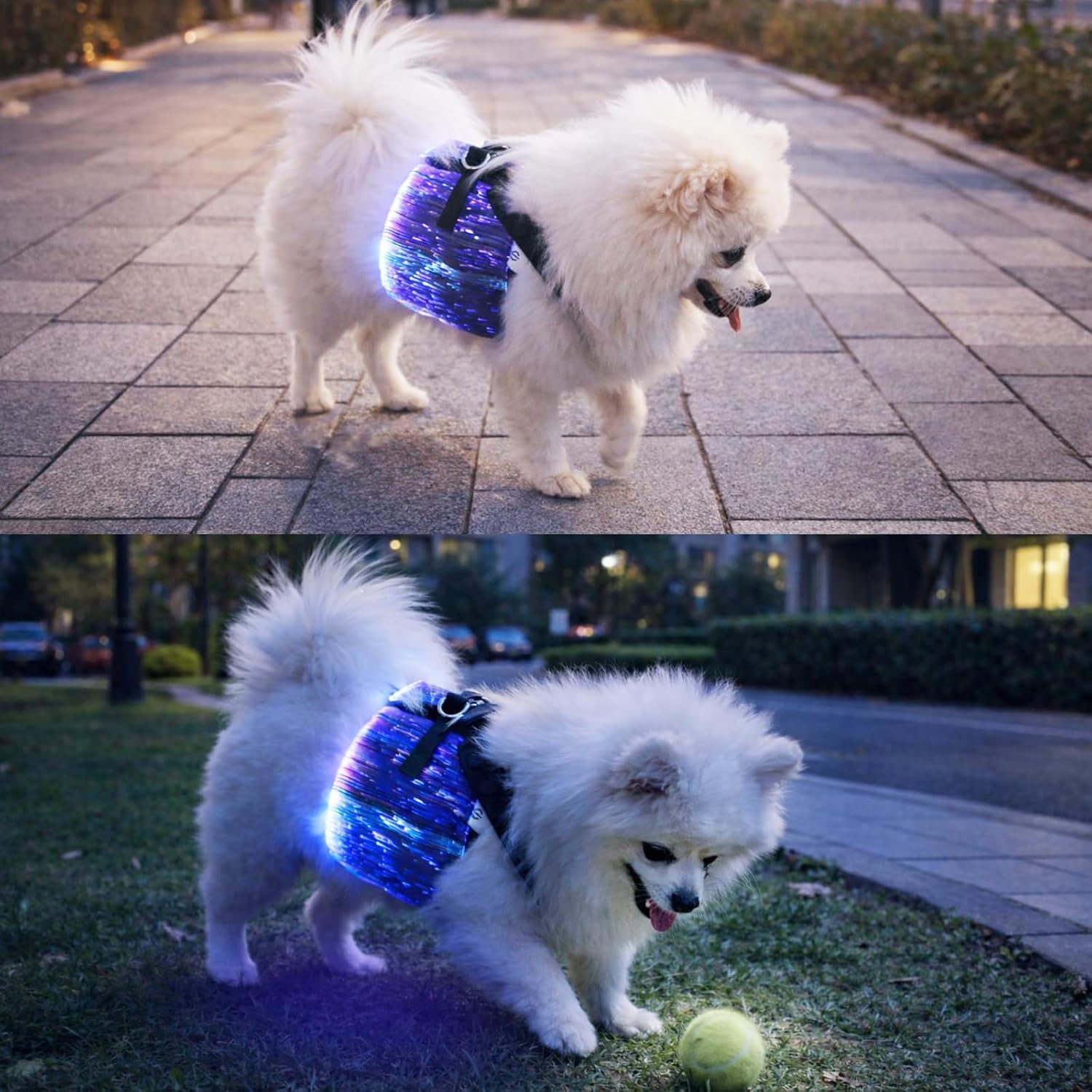 Flash Star Light Fiber Optic LED Dog Harness with Remote Control,Rechargeable,Lightweight,Multicolored LED Pet Safety Vest for Cats Dogs Night Walking,Party,Adjustable(3.3-5.5 lbs Dogs, S)