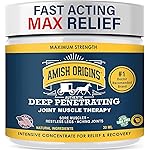 Amish Origins Pain Relief Ointment 1 oz Maximum Strength All Natural Discomfort Reliever for Joint, Muscle, Knee, Back, Neuropathy