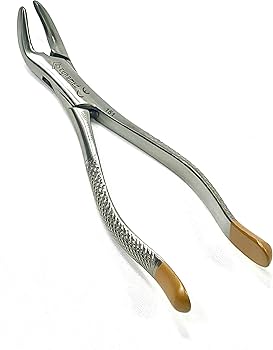 71gmB1Rnv0L._AC_UF350,