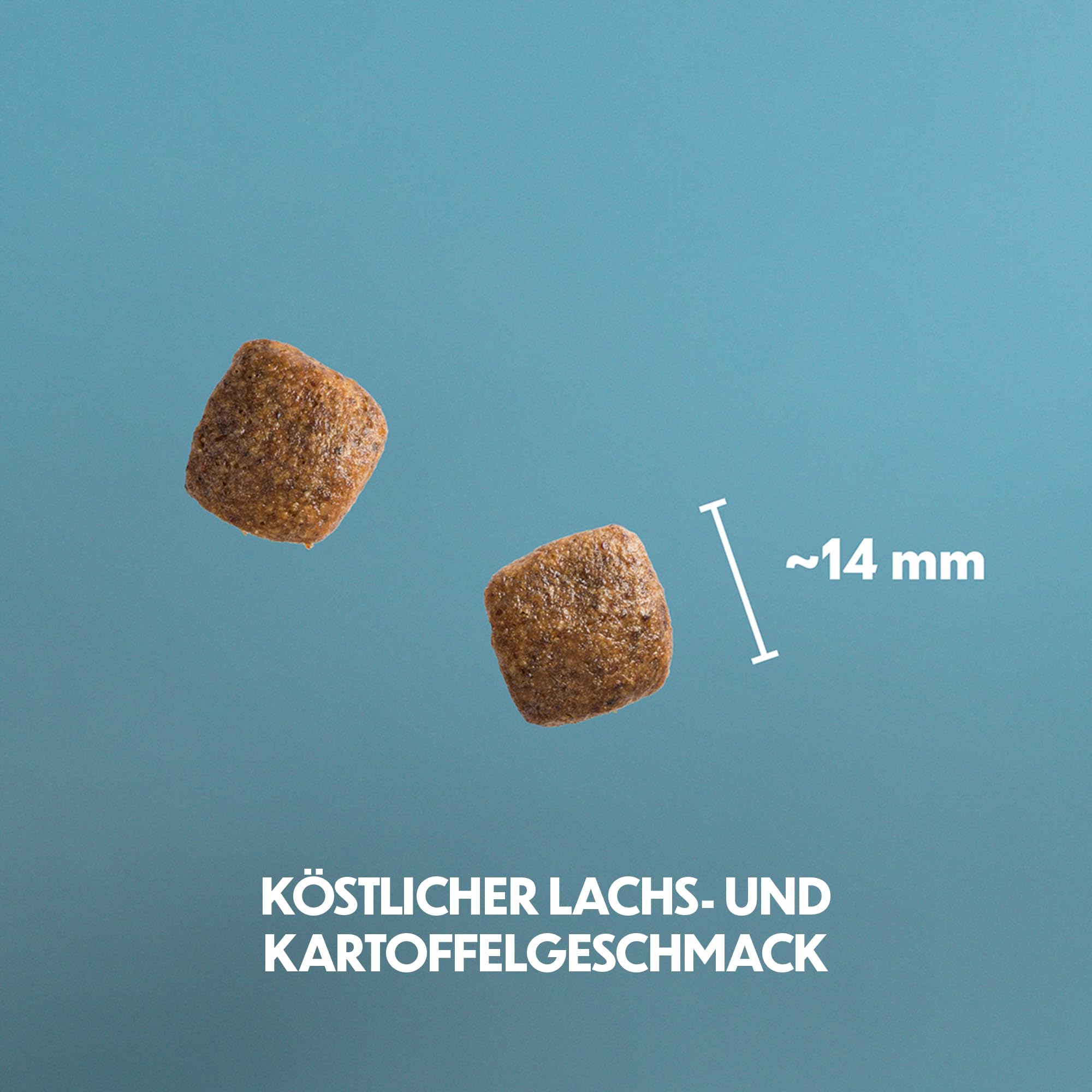 Trockenfutter mit Lachs & Kartoffel für Erwachsene Hunde, 10 kg | Mit Lachs, leicht verdaulich getreidefrei, für empfindliche Hunde, unterstützt Haut & Fell, nordische Beeren & Kräuter