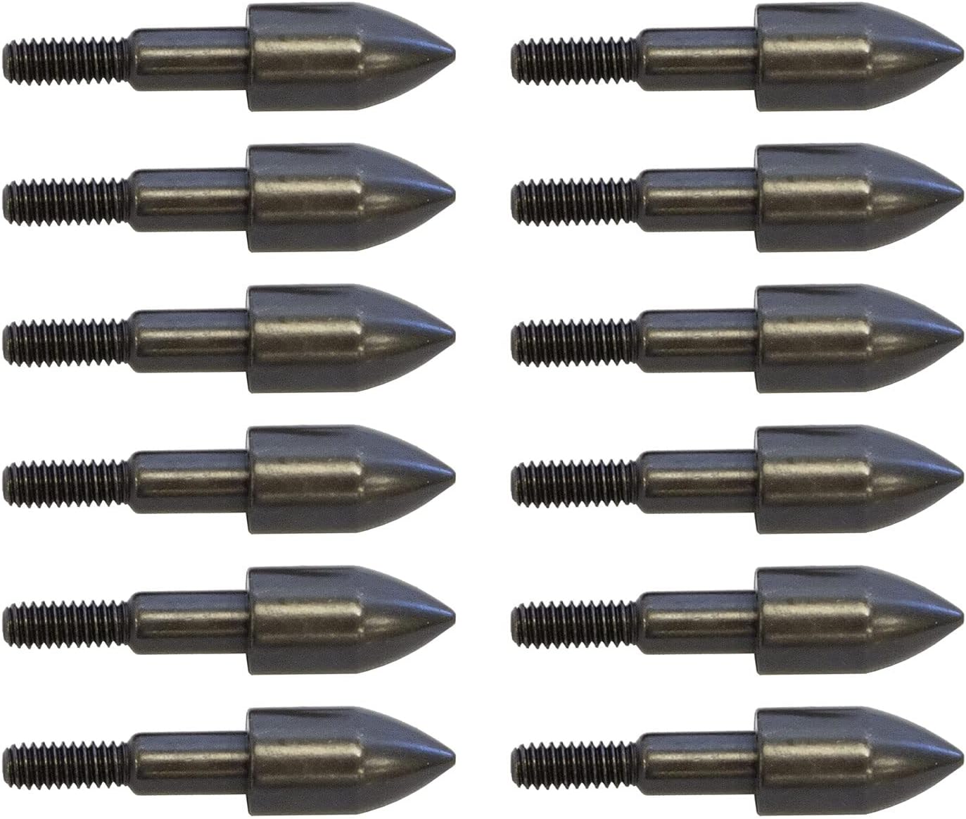 New Archery Products Bullet Point Durable Steel Screw-in Archery Practice Field Tips - 12 Pack - 100 Grain, 9/32" : Sports & Outdoors