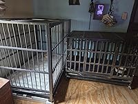 Review Image by Tammy K Tammy K