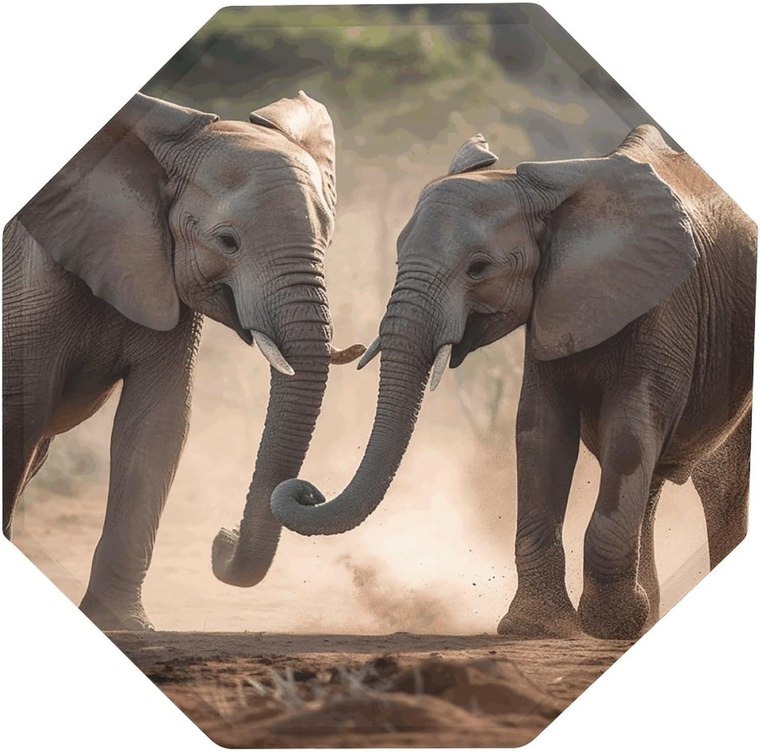 Ctagon Metal Sign for Home, Modern Display Plate for Kitchen, Two Elephants Playing Plates Accent Hanging Wall Decorations 3PCS for Living Room, Bedroom, Hallway, Hotel