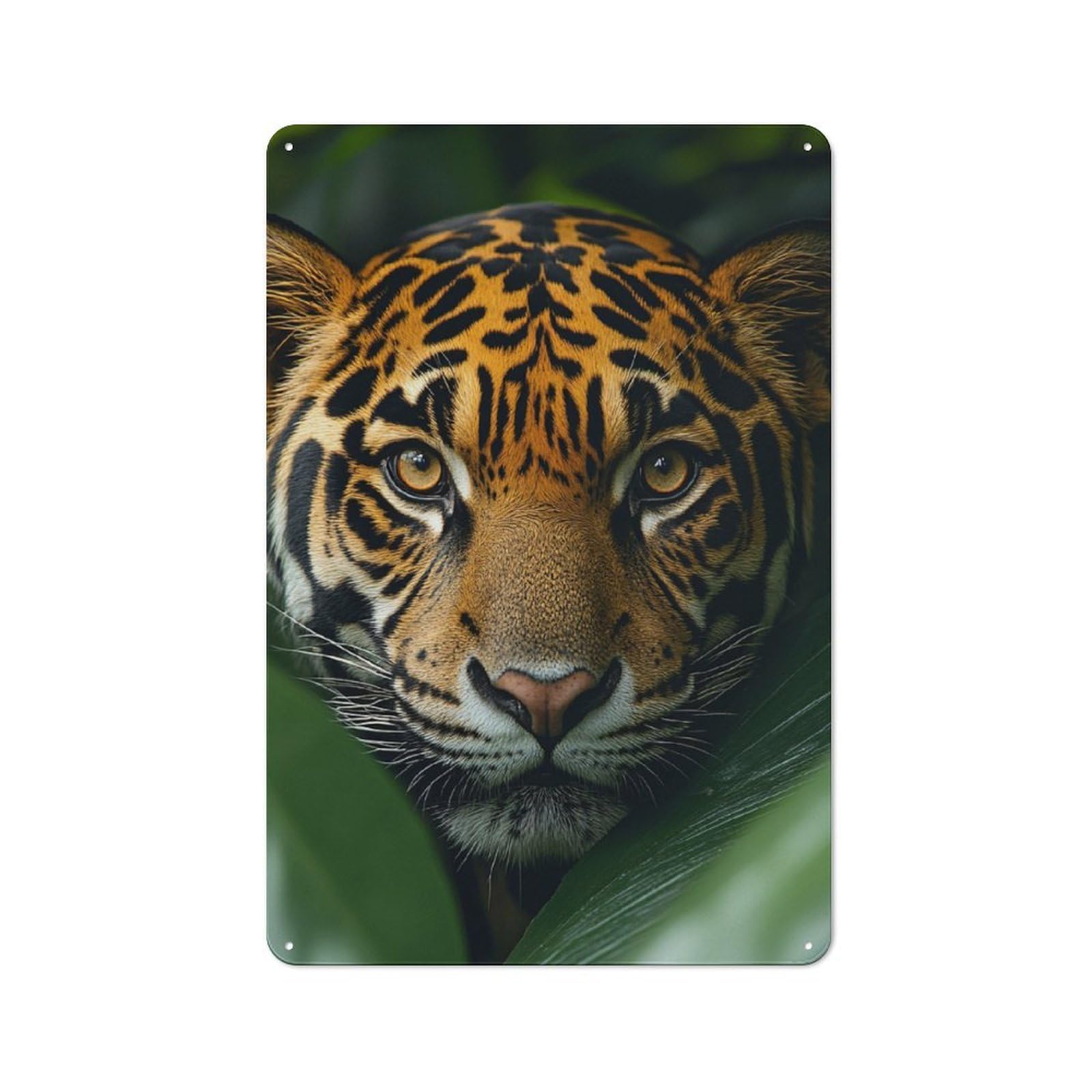 Metal Wall Sign 30x20cm Featuring Jaguar Peering Through Lush Jungle Leaves for Workshop Wall, for Room Styling Across Workshops And Hobby Rooms