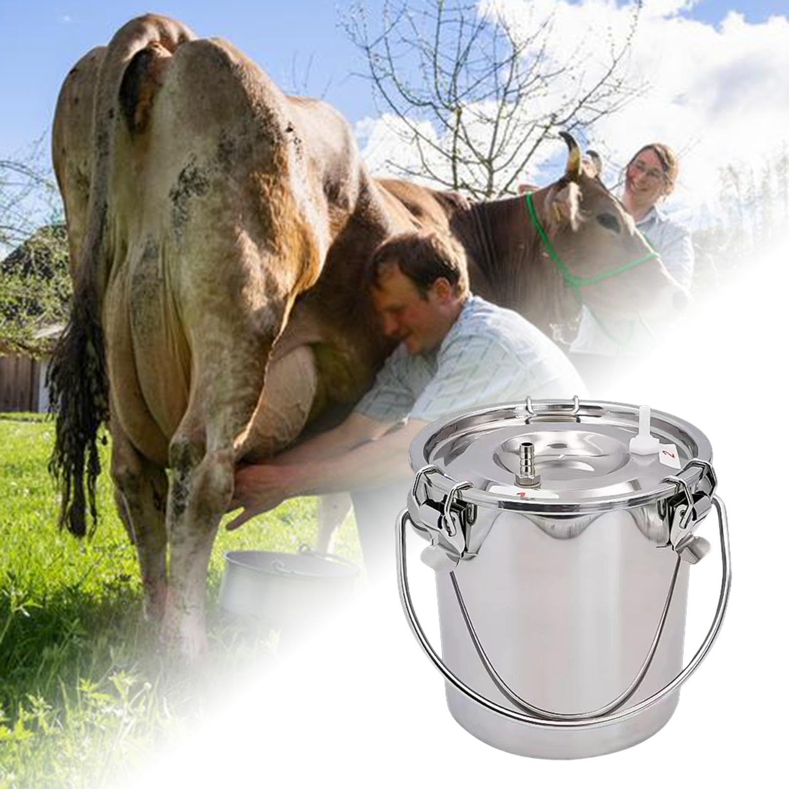 Juego de 2 cubos de ordeñadora para ordeñadora, para vaca, oveja, caballo, 3 L, plateado