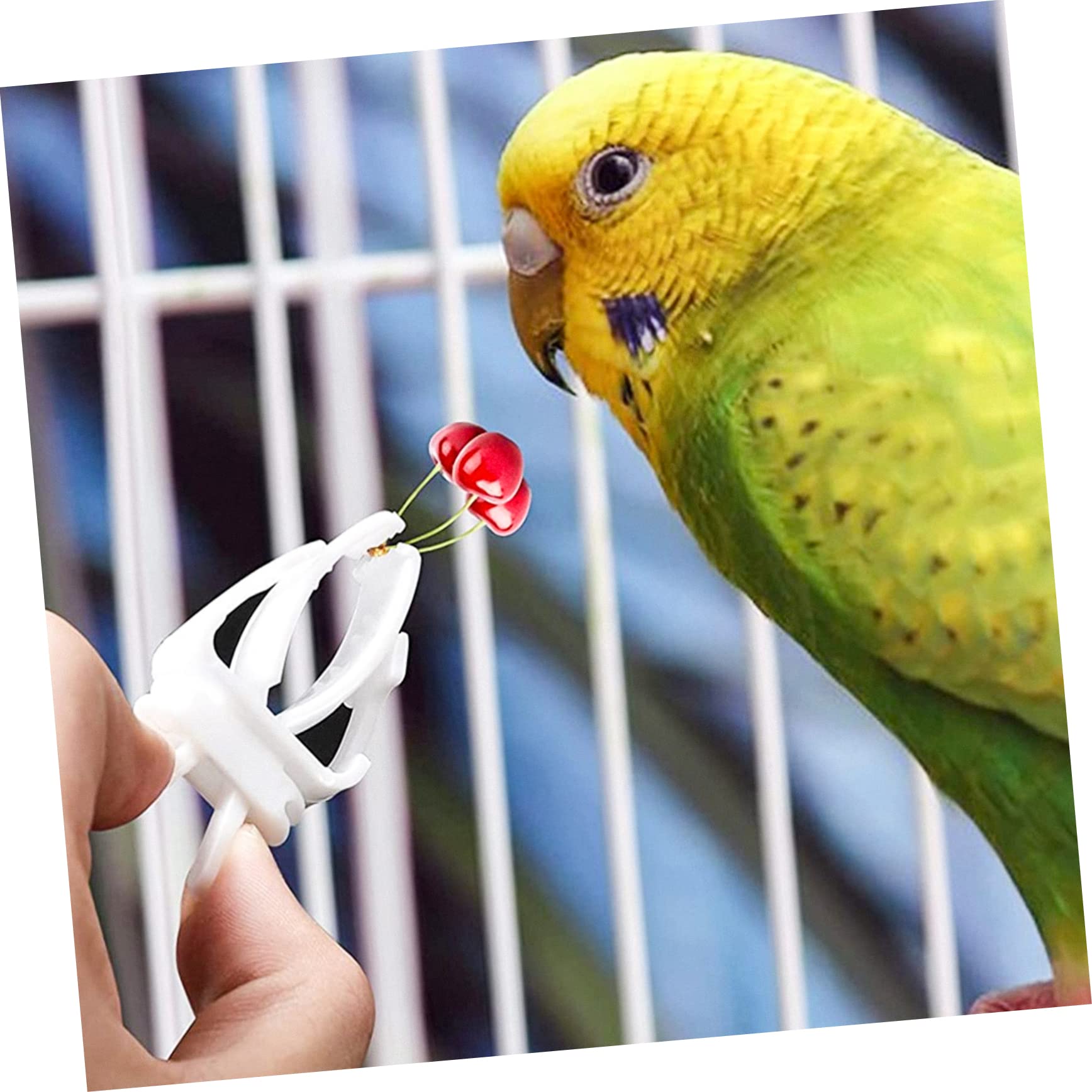 BESPORTBLE 20pièces Supports Alimentaires pour Oiseaux Clips Fixateurs De Fruits Et Légumes pour Cage à Oiseaux Accessoires pour Perroquets