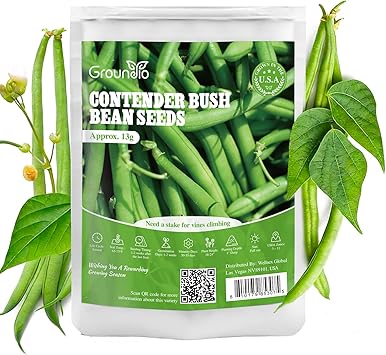 Groundio 30+ Contender Bush Green Bean Seeds, Early-Maturing, Stringless, High-Yield Bush Beans | Non-GMO | HeirloomPhaseolus Vulgaris